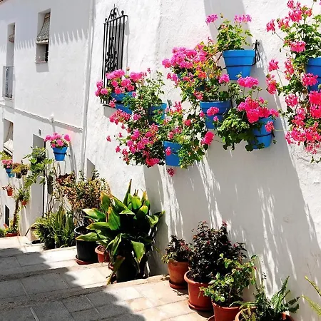 Casa Carolina - That One In Higueron With Jacuzzi, Pool And Views