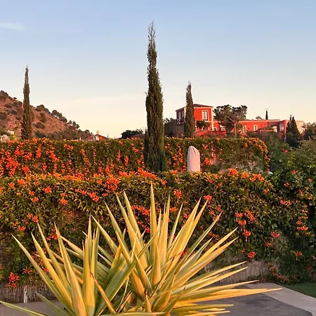Feriehus Casa Carolina - That One In Higueron With Jacuzzi, Pool And Views